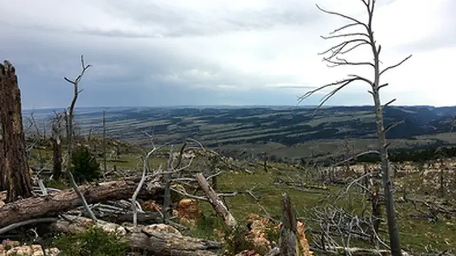 Gardner Mountain WSA backcountry photo