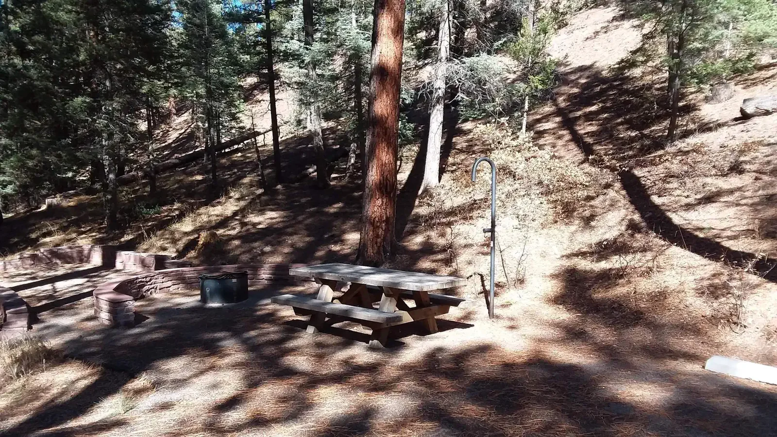 A view of a campsite with pines and restroom in the background.