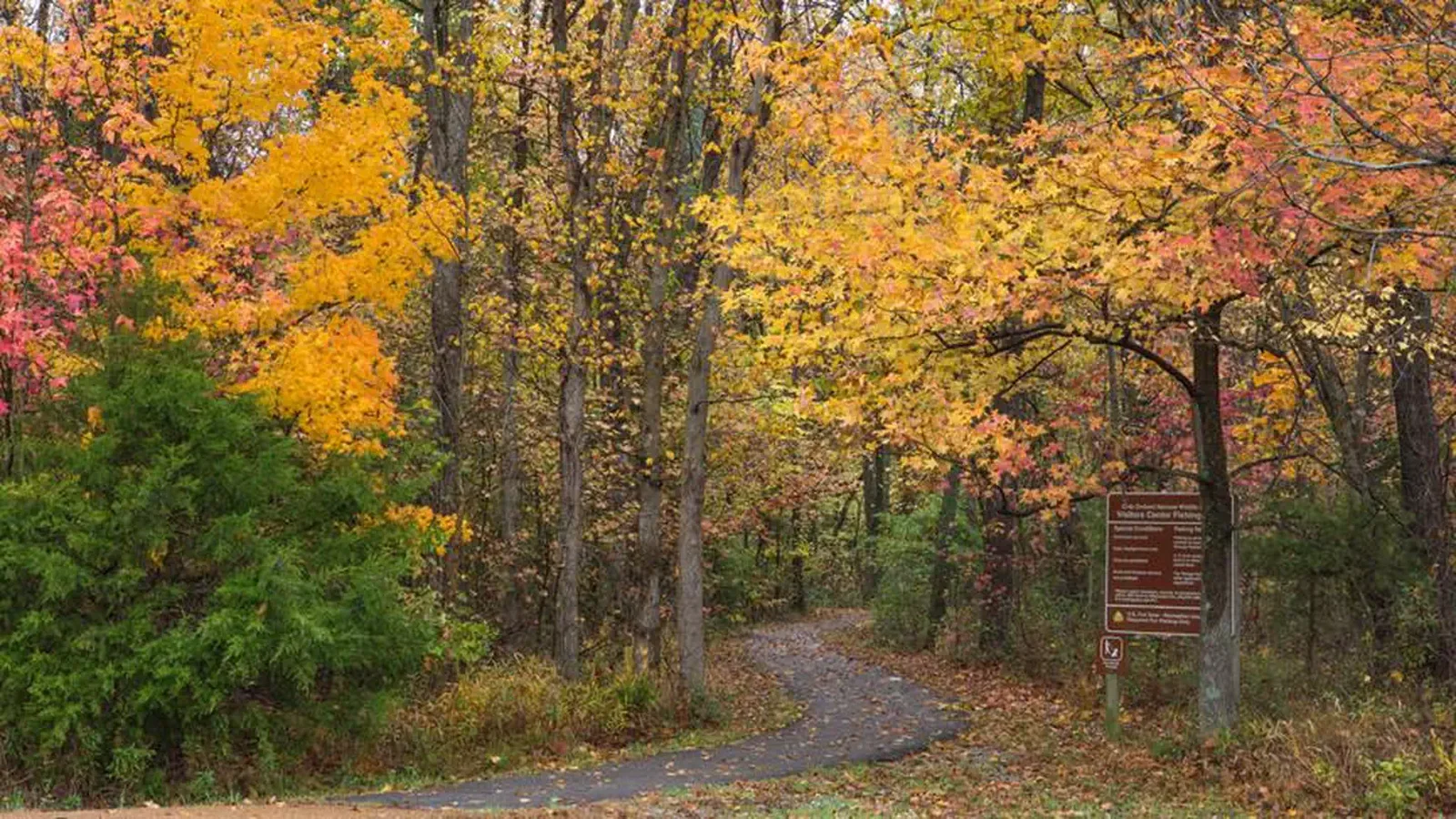 Autumn colors at Crab Orchard