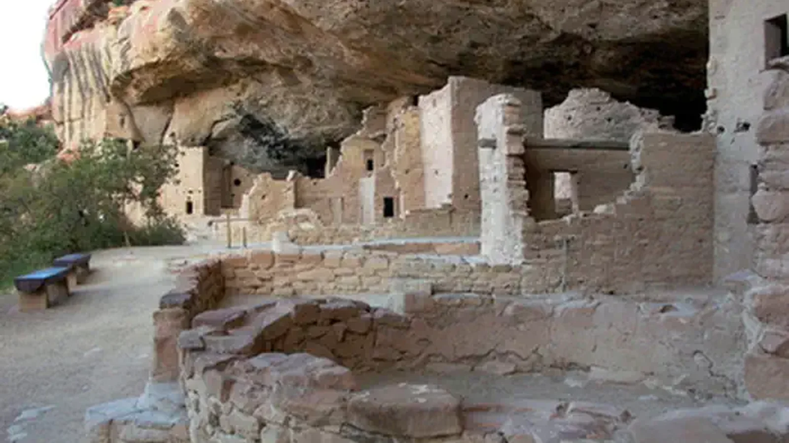 Spruce Tree House