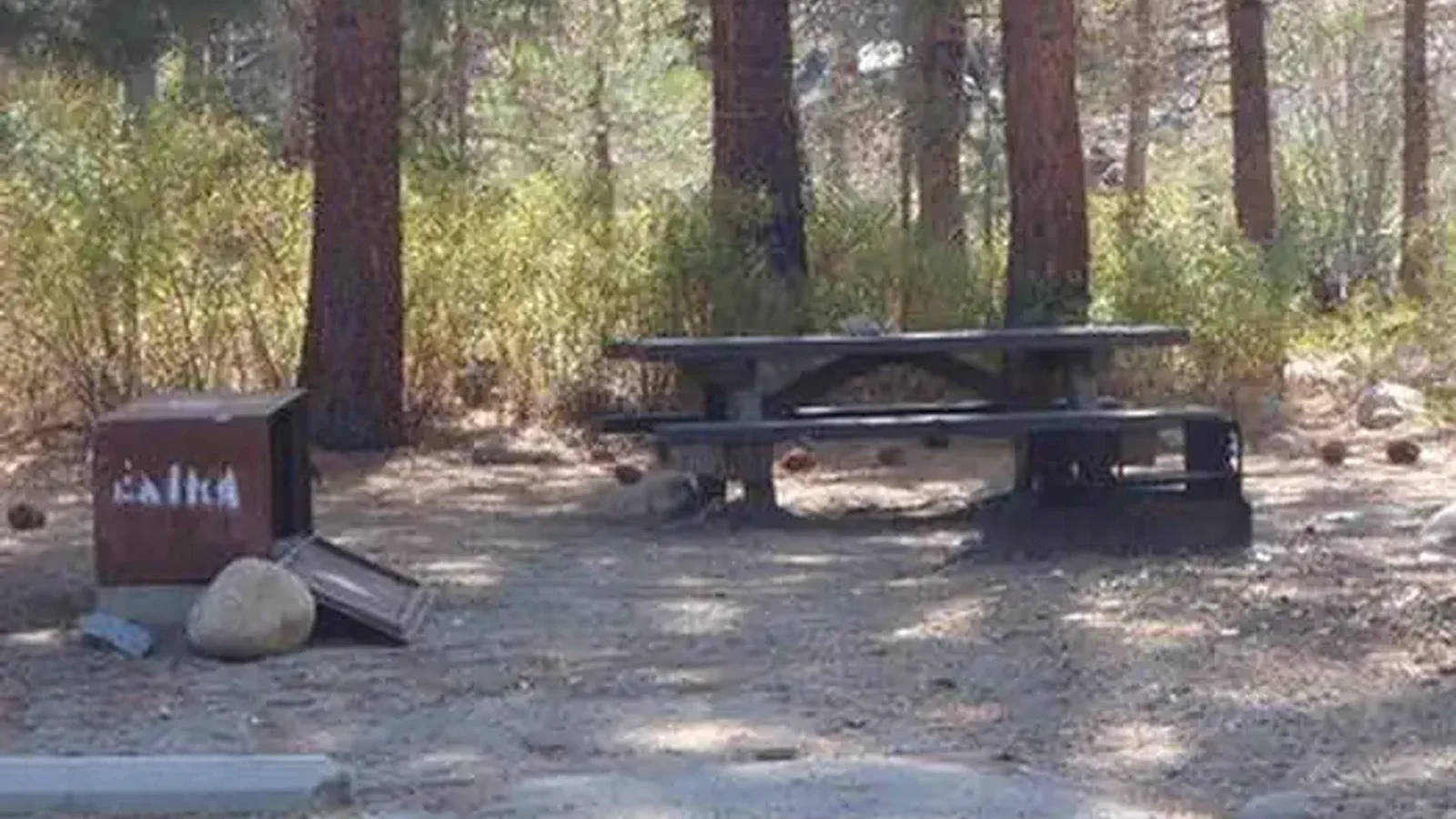 MONO HOT SPRINGS