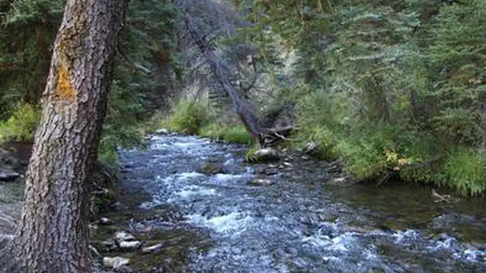 Big Rock Group Campground