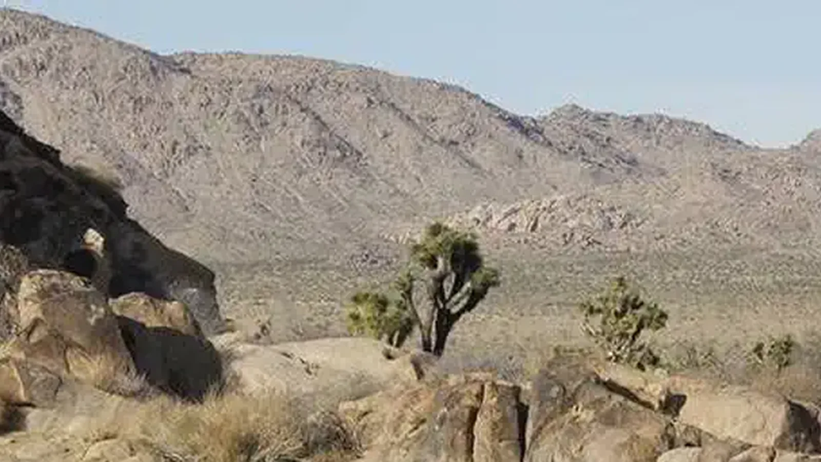 Sheep Pass Campground