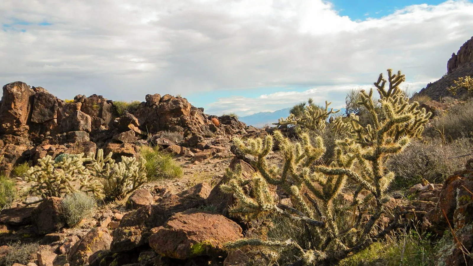 Warm Springs Wilderness