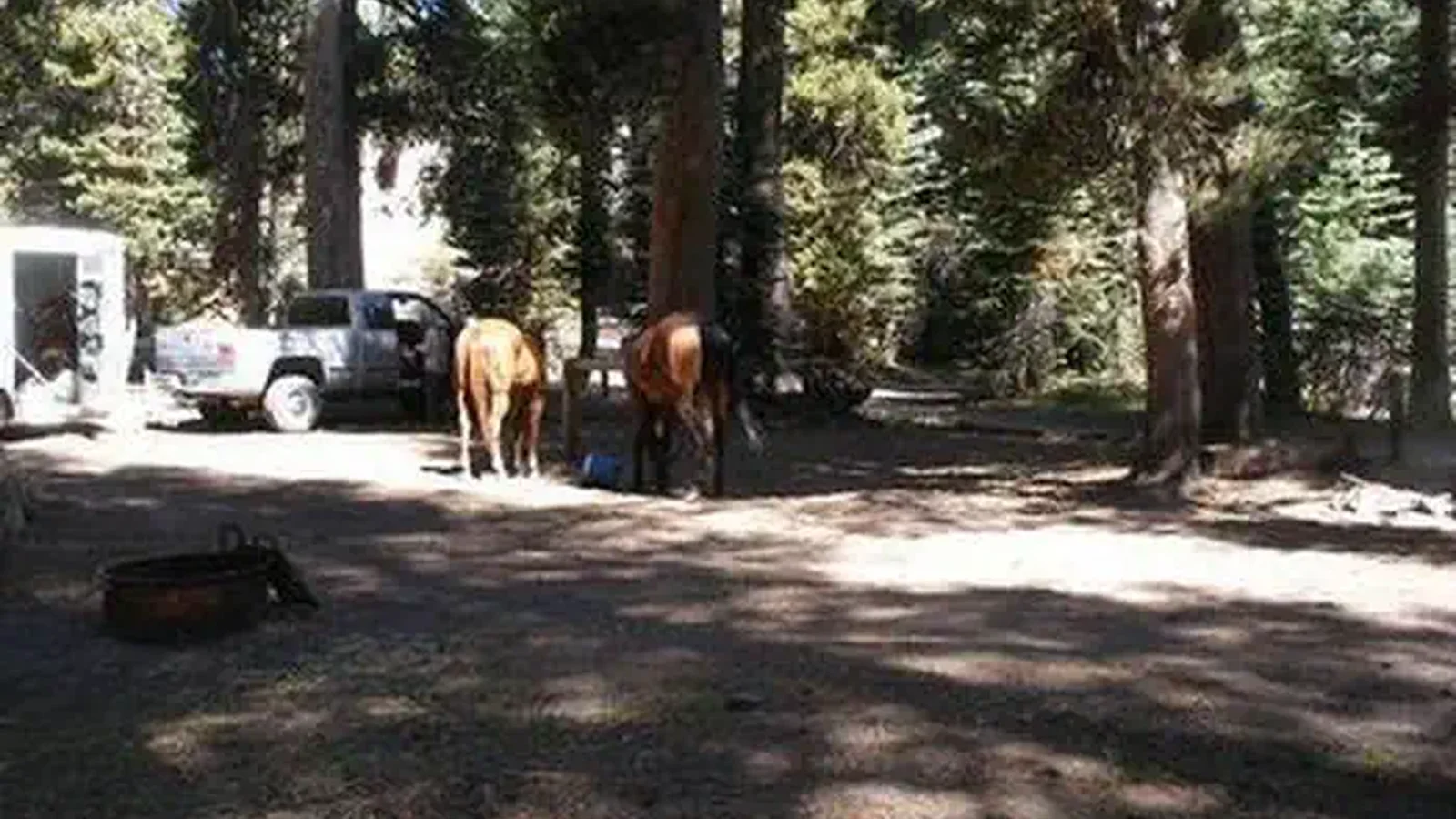 AGNEW HORSE CAMP