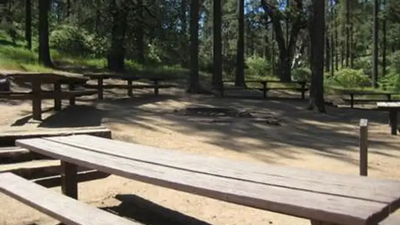 Picnic Table area at Buttercup Group Camp