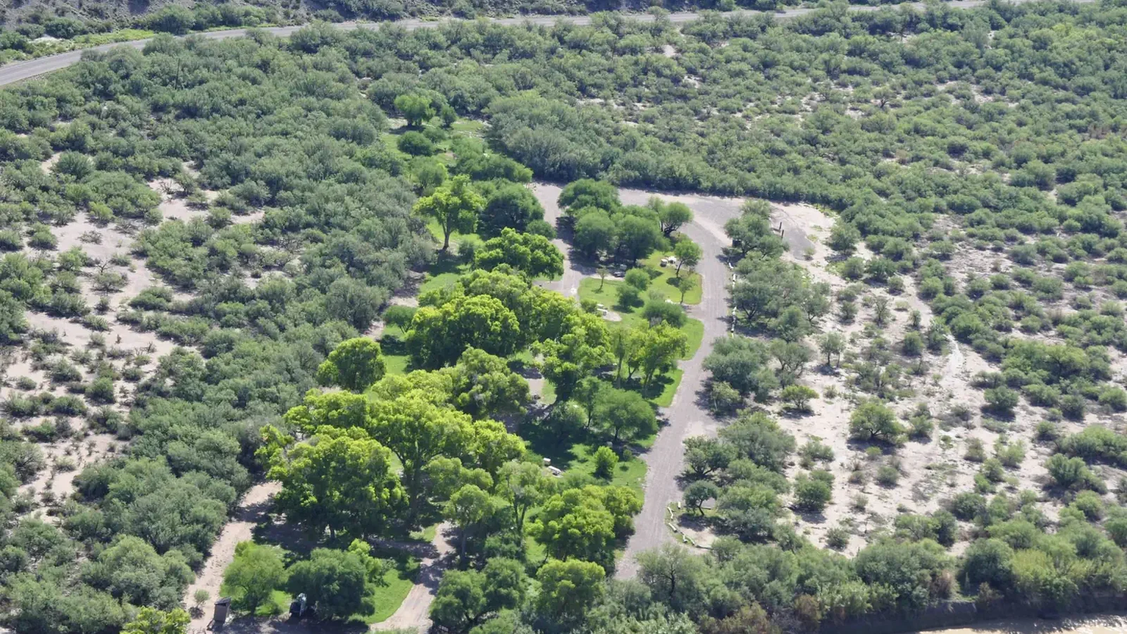 Aerial view of Cottonwood Campground, bright green trees amidst the low desert, riparian area