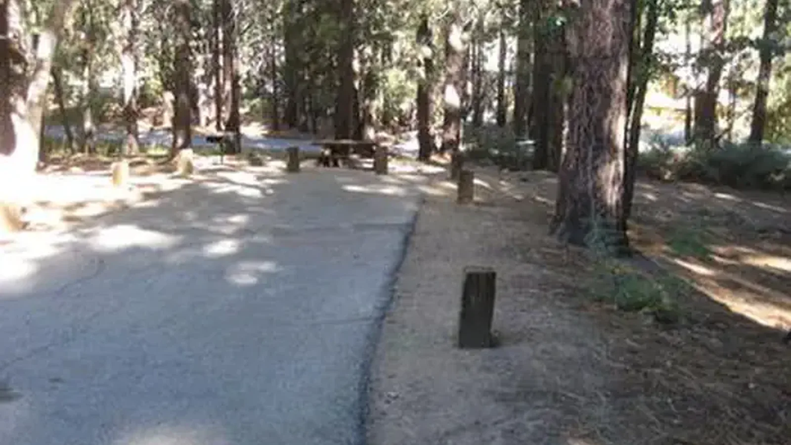 Empty Site at Pineknot Campground