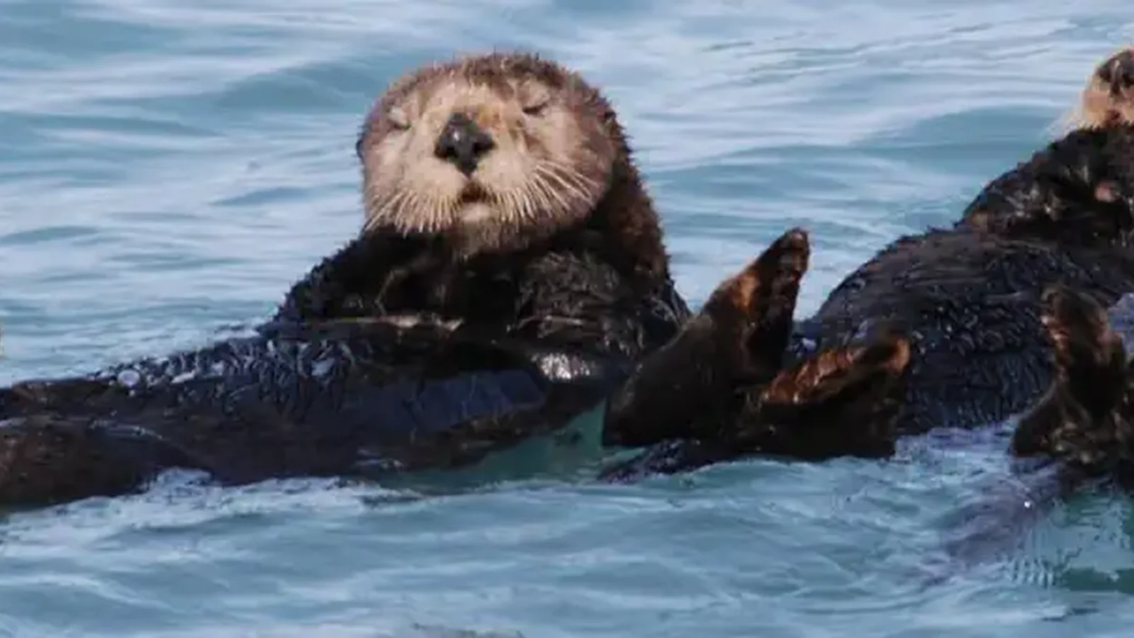 Monterey Bay National Marine Sanctuary