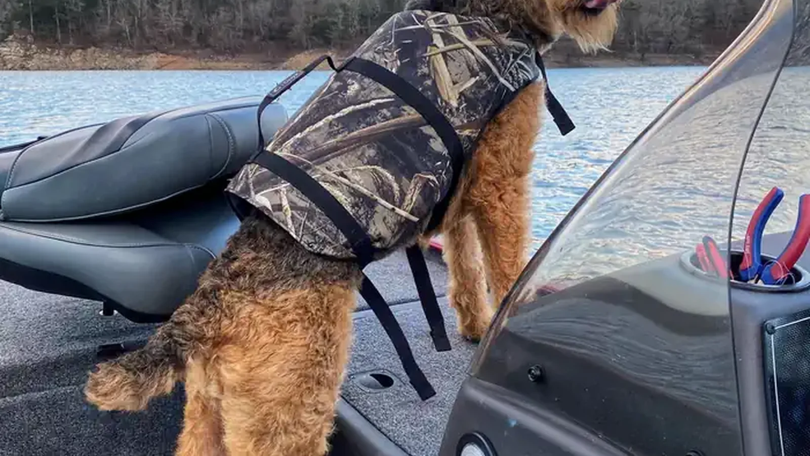 Life Jackets Save Lives!