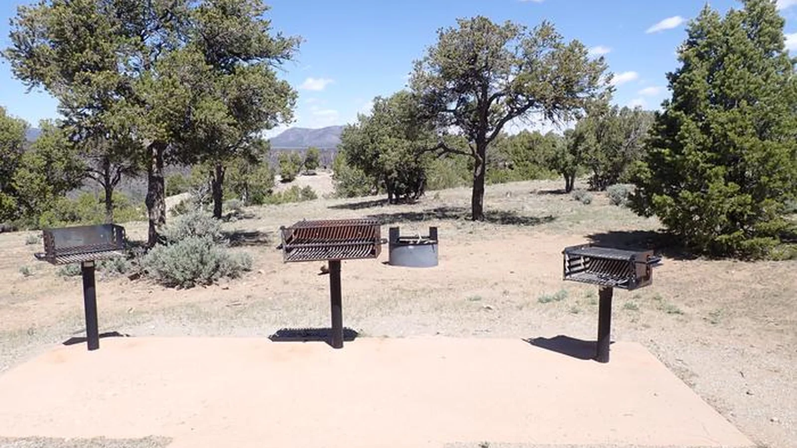 La Junta Group Shelter Grills and Fire Pit