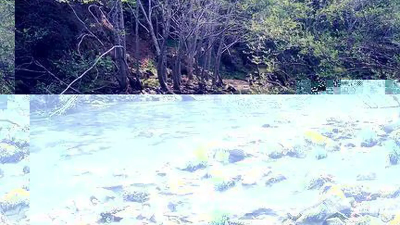 South fork Eel Wild and Scenic River