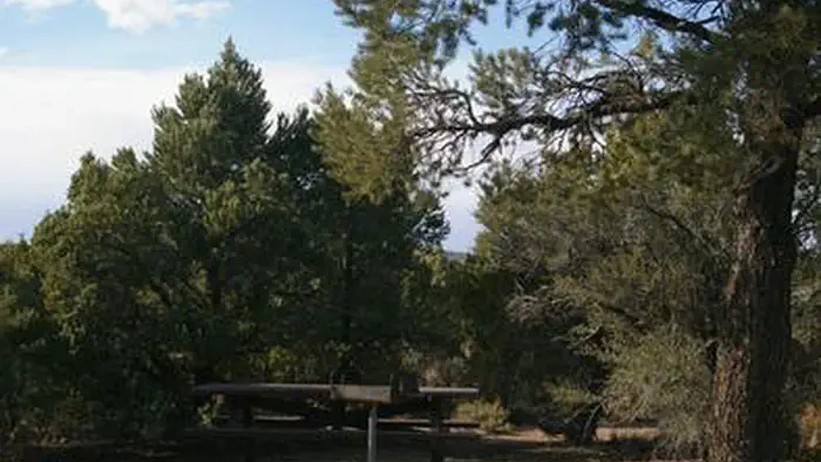 WARD MTN. CAMPGROUND (MURRAY SUMMIT)