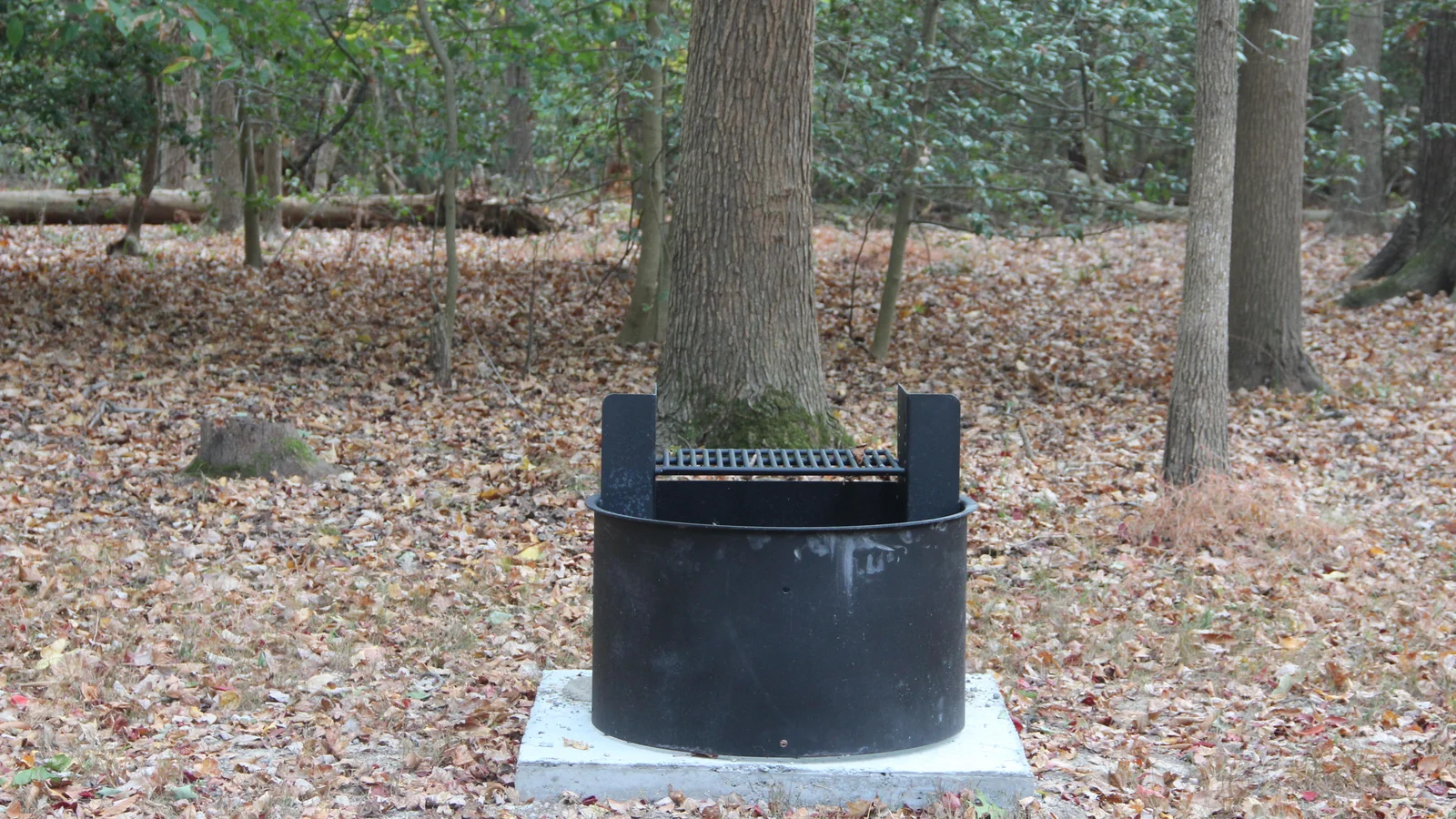 New grill in the Greenbelt Park Maryland campground