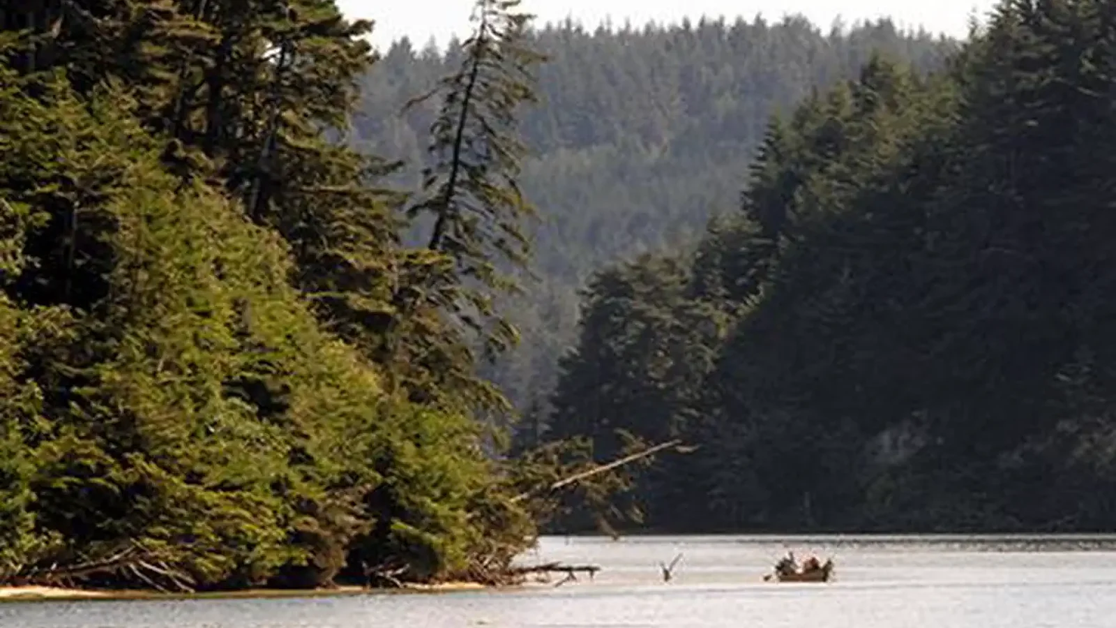 Chmoosh paddling in South Slough National Estuarine Research Reserve, Oregon
