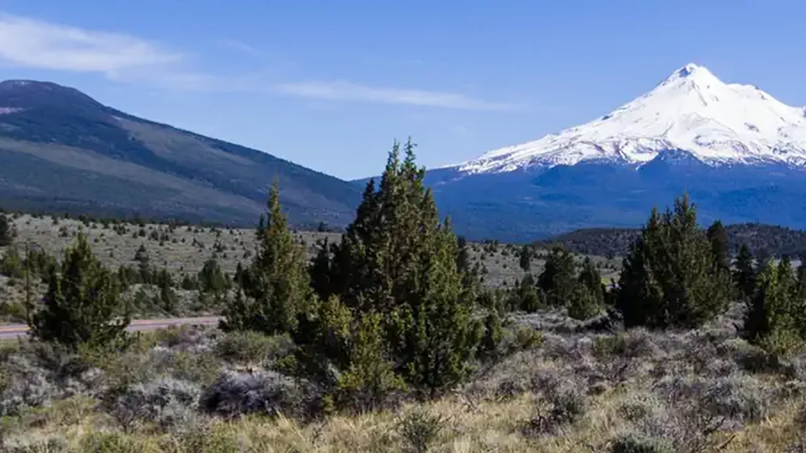 Mount Shasta