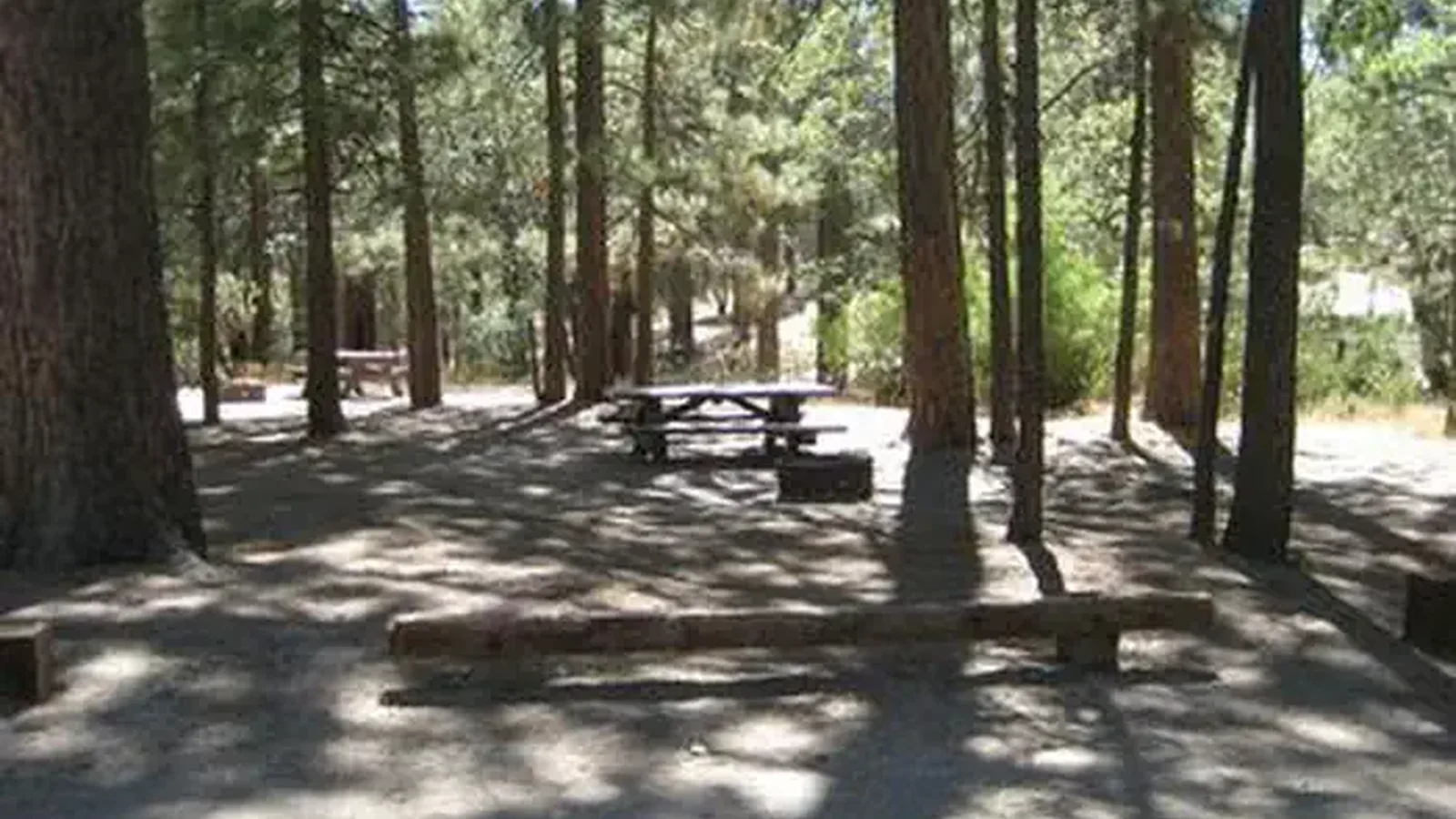 Crab Flats Campground picnic tables and log benches under the shade.