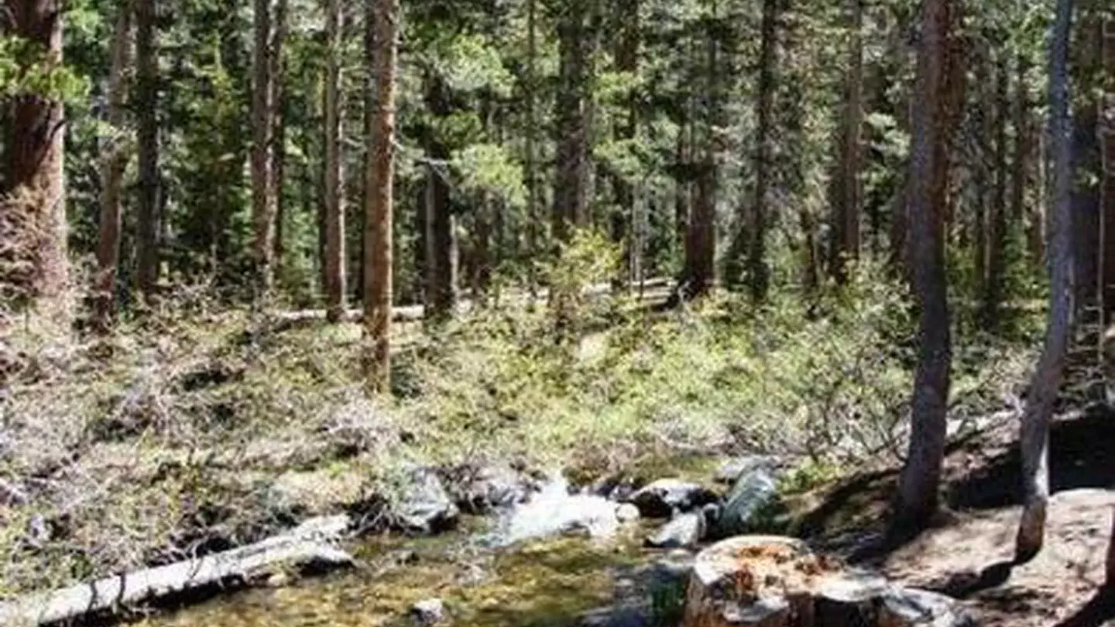 Coldwater Campground