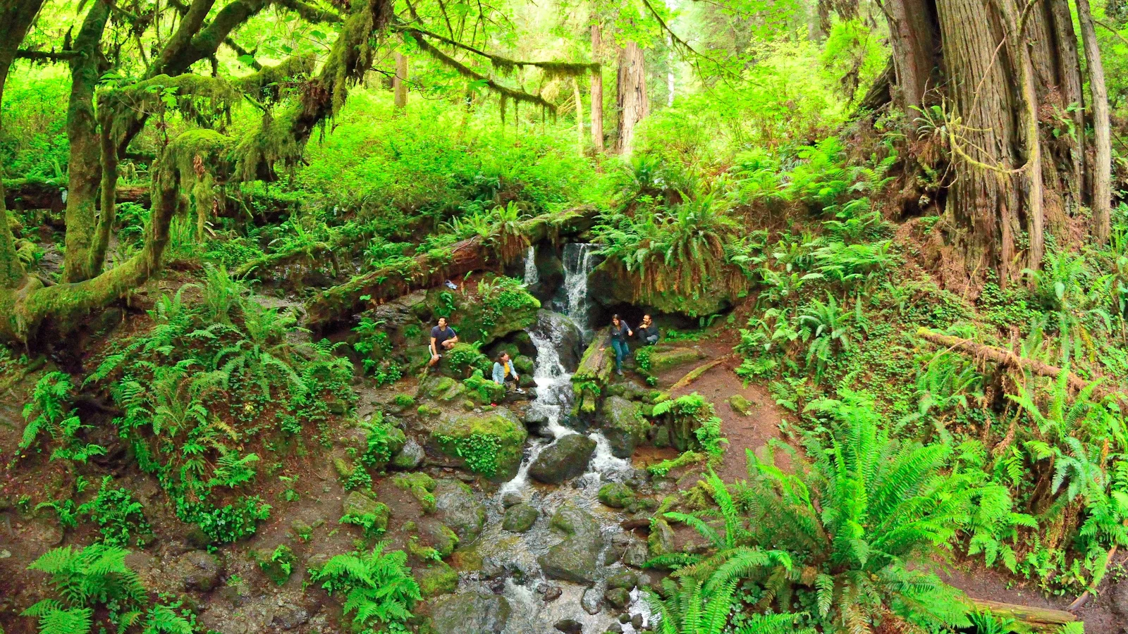 Trillium Falls