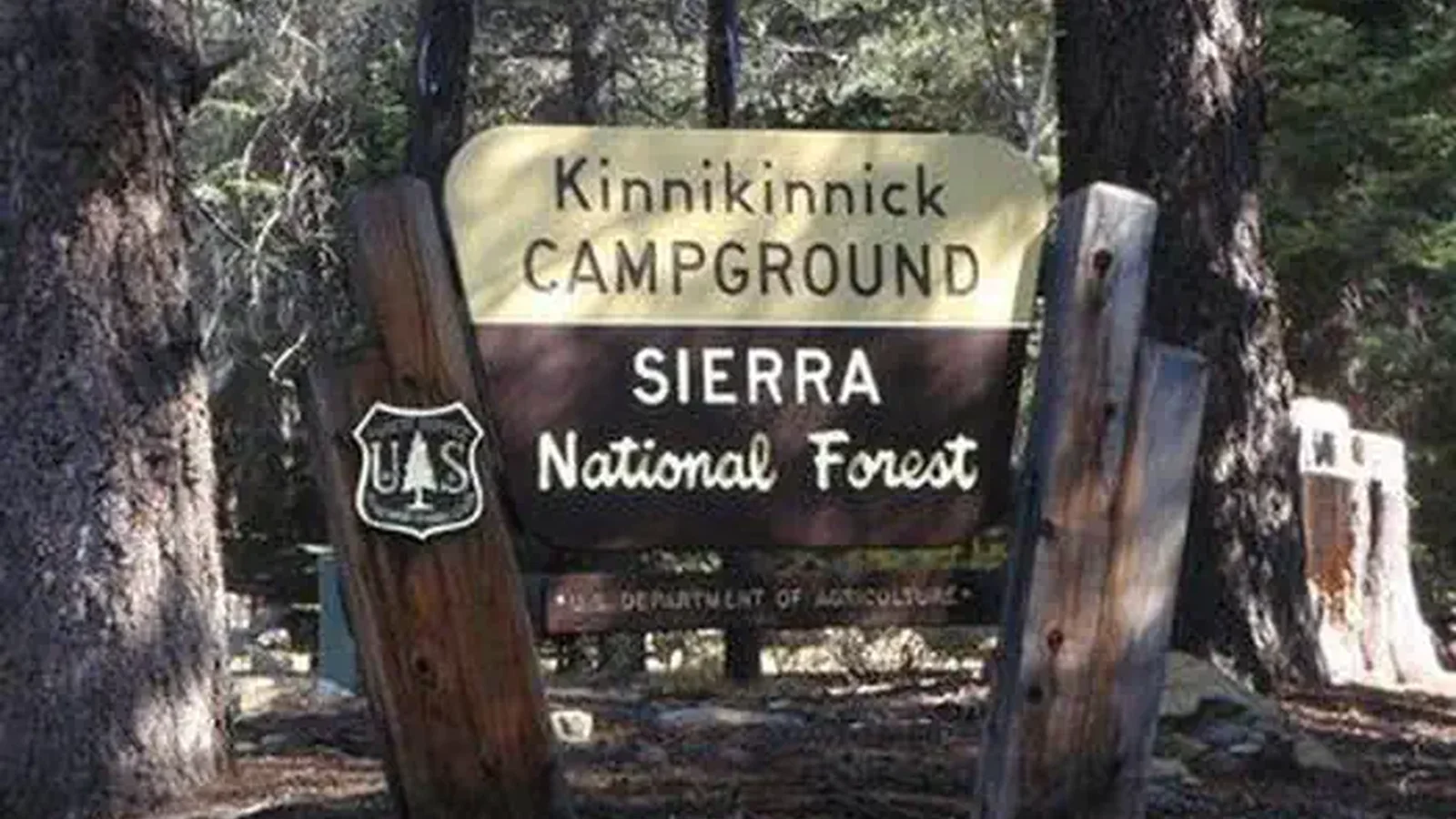 KINNIKINNICK