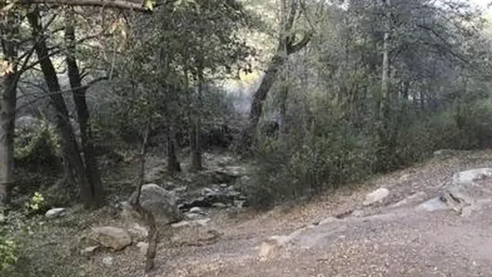 REYES CREEK CAMPGROUND