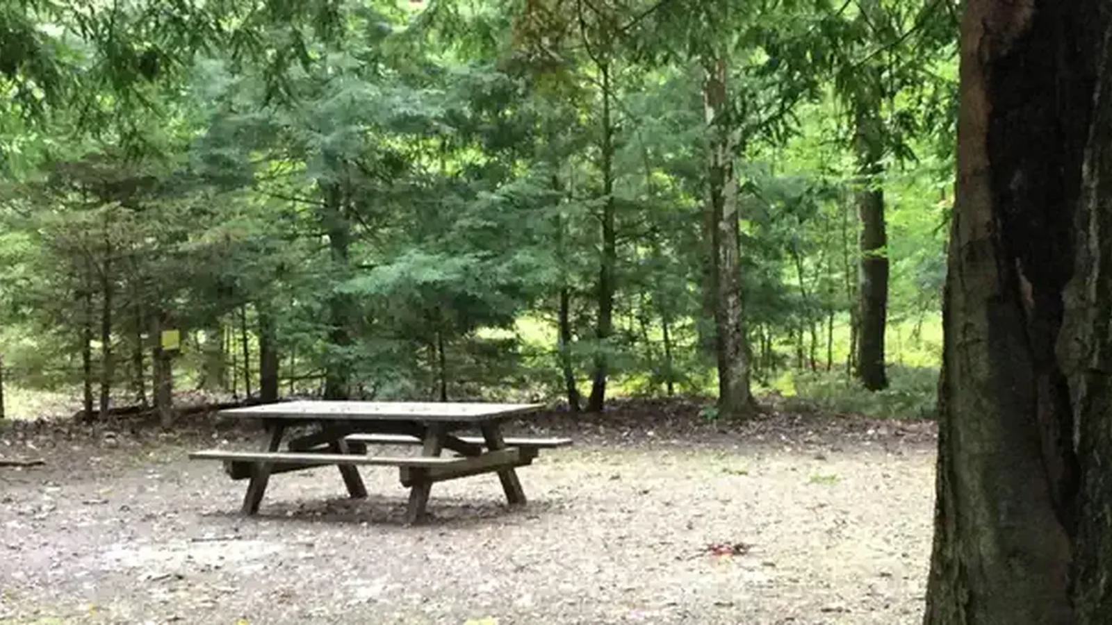 Hearts Content Recreation Area