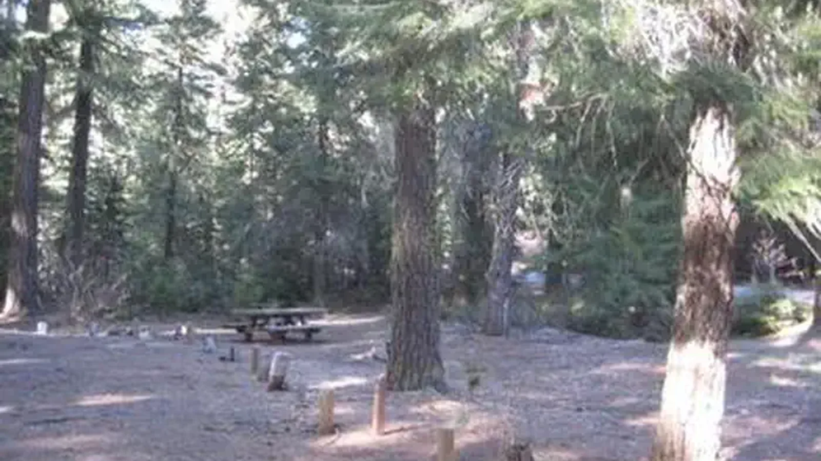 NORTH FORK CAMPGROUND (OR)