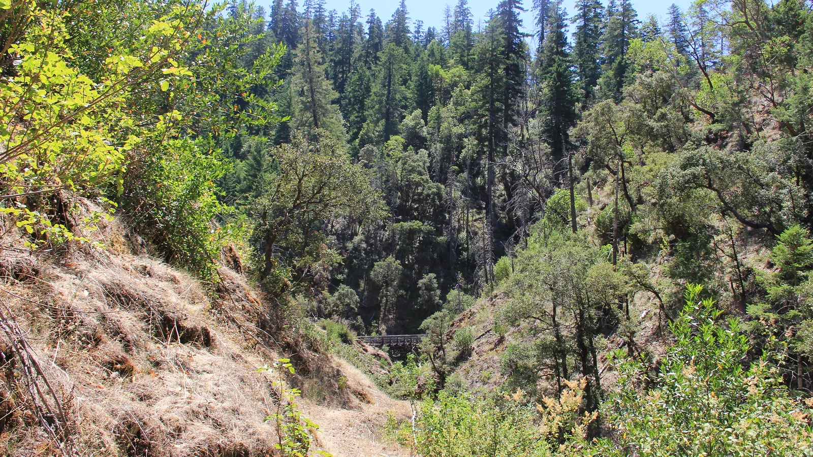 Mule Creek Trail