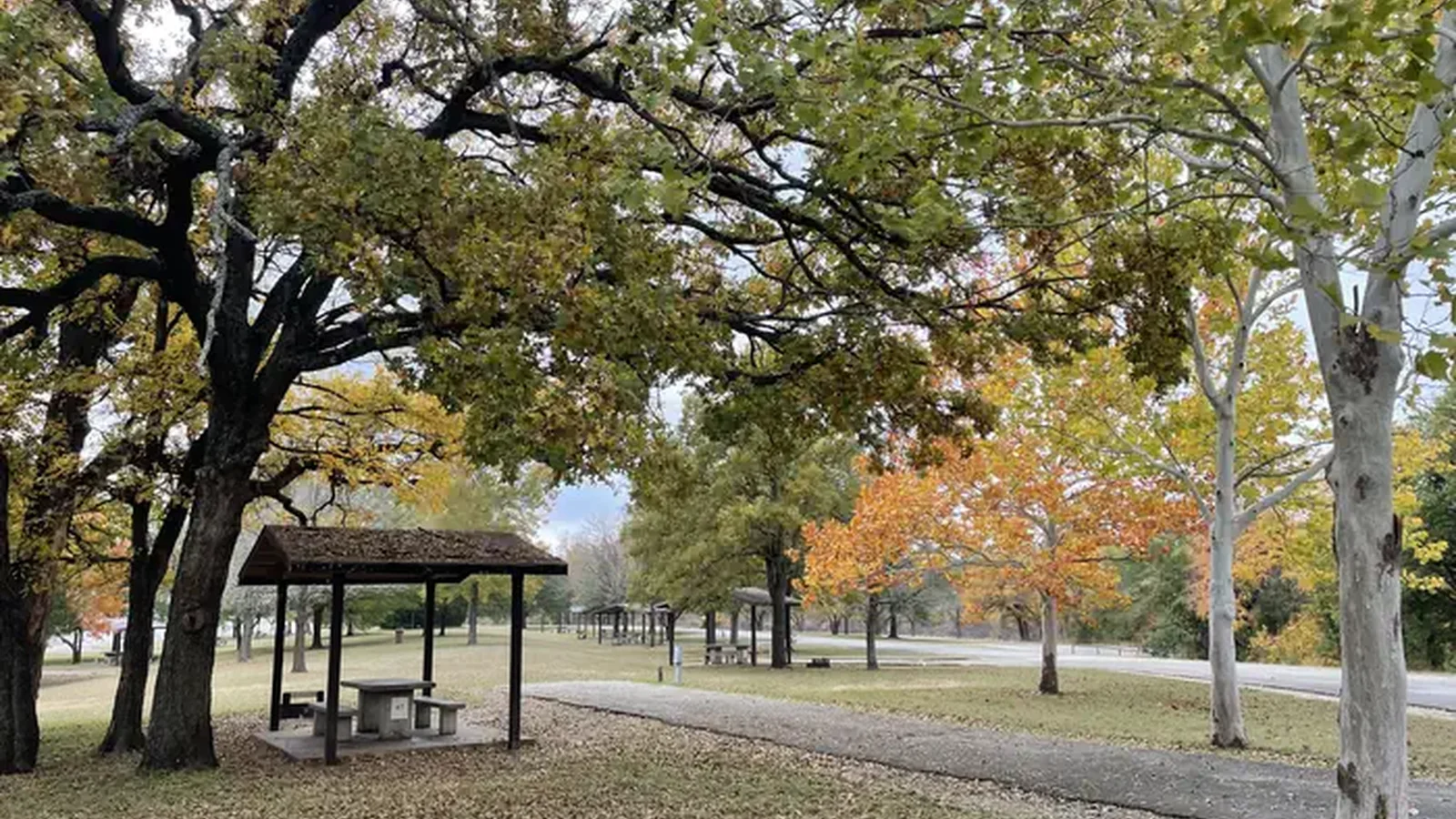 Oak Park campsite