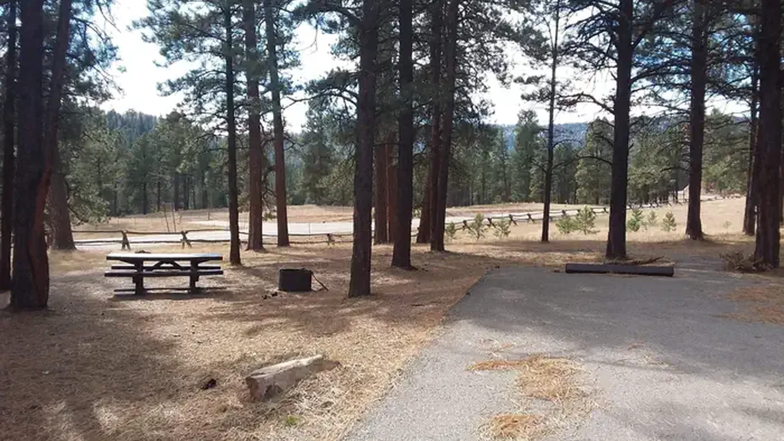 Rio de las Vacas Campground Site 15