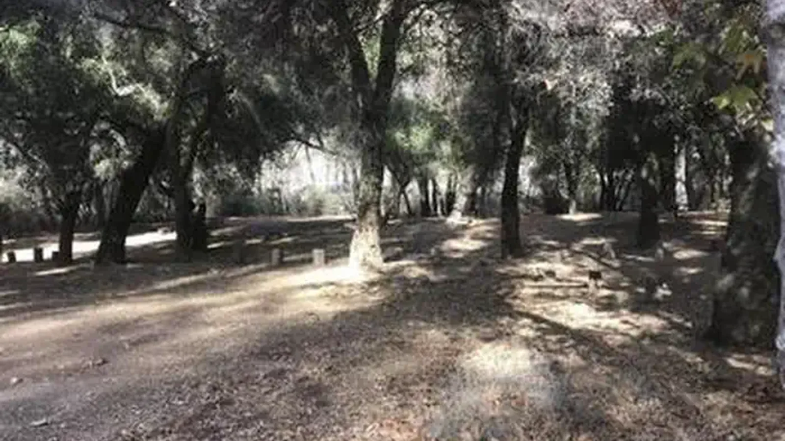 NIRA CAMPGROUND