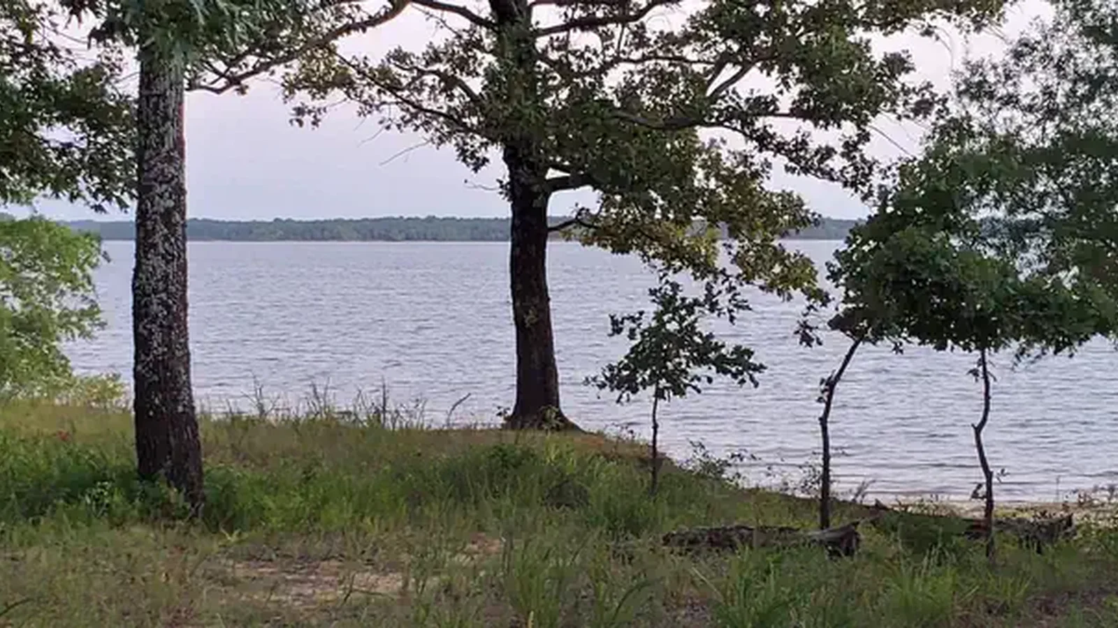 View of Lake through trees