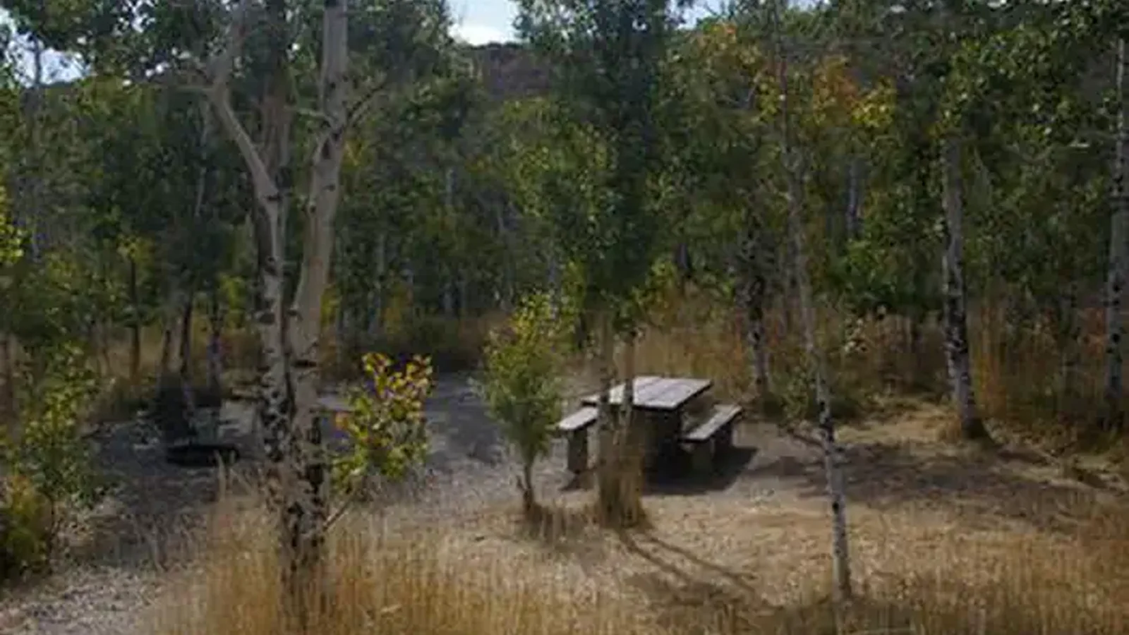 ANGEL CREEK