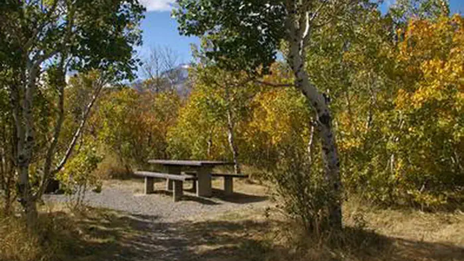 ANGEL CREEK