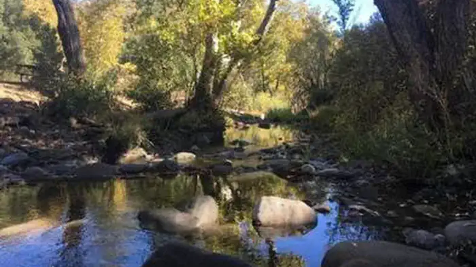 PONDEROSA CAMPGROUND