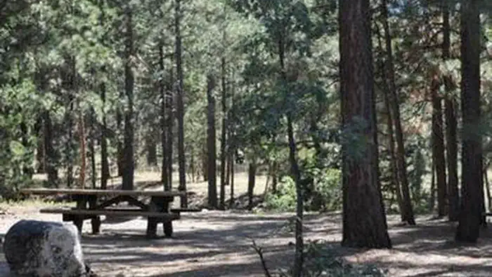 Shade & Picnic Tables of the San Gorgonio Campground..