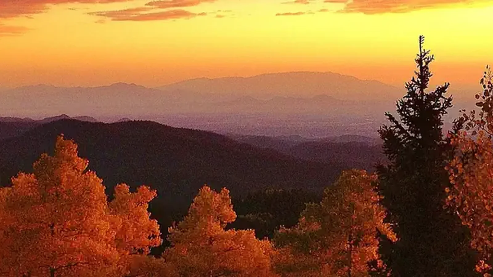 Santa Fe National Forest