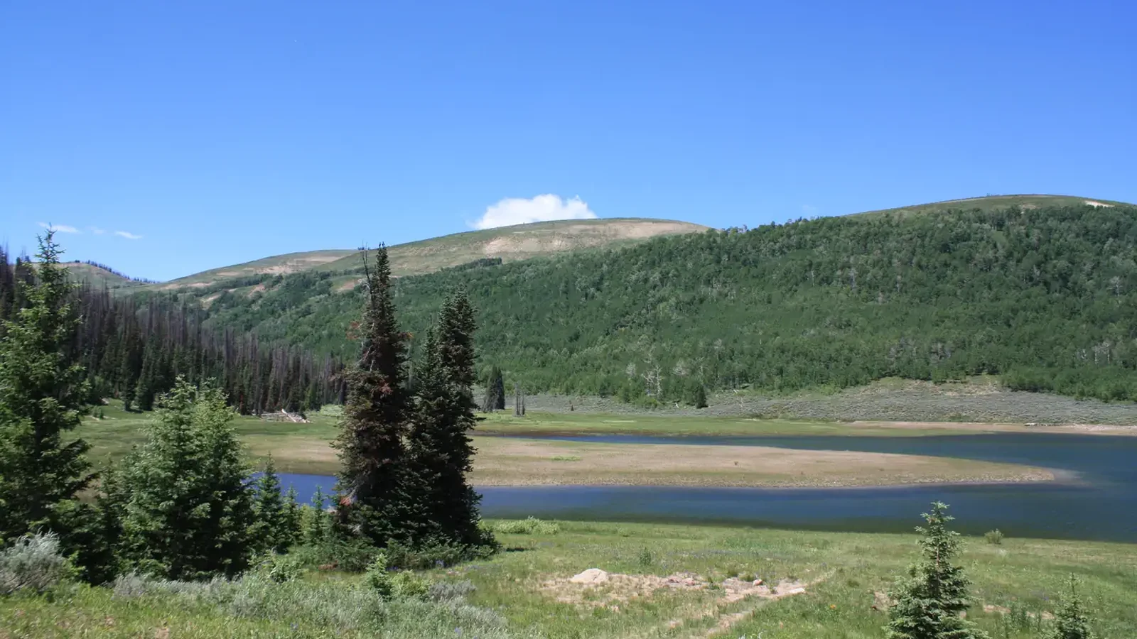 Lake  Canyon Campground - Cleveland Reservoir