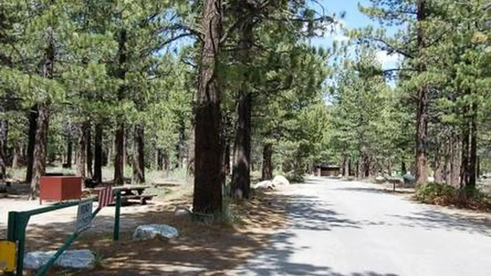 NEW SHADY REST CAMPGROUND