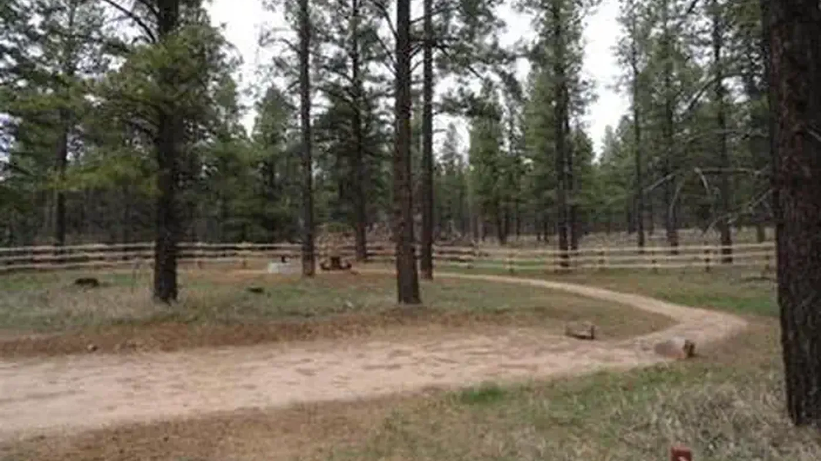 Pioneer CG Site
