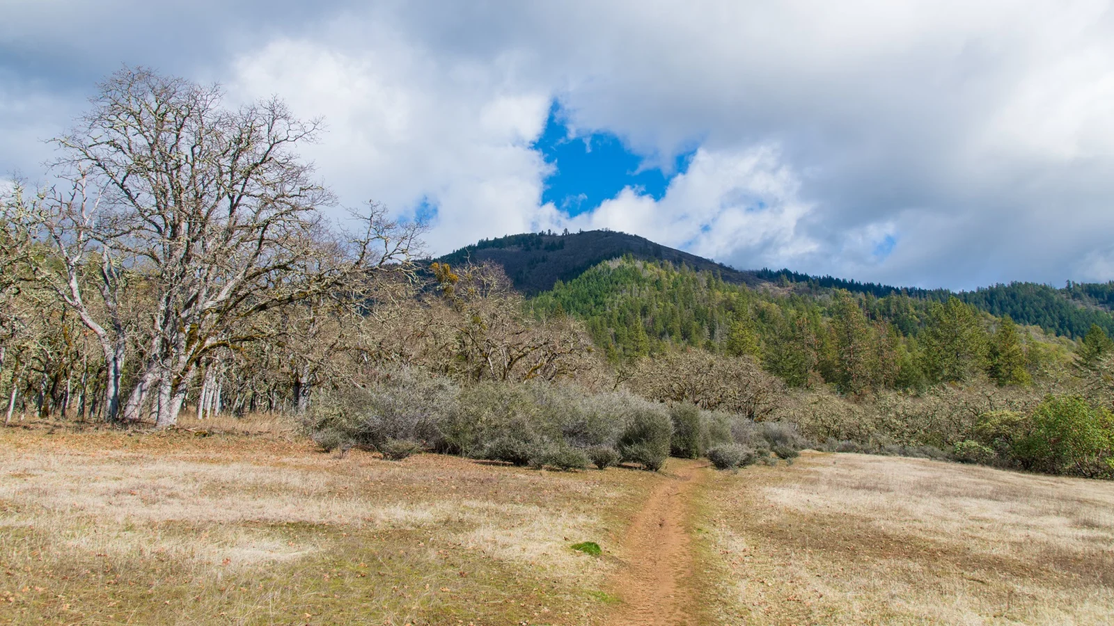 Enchanted Forest & Felton Memorial Trails