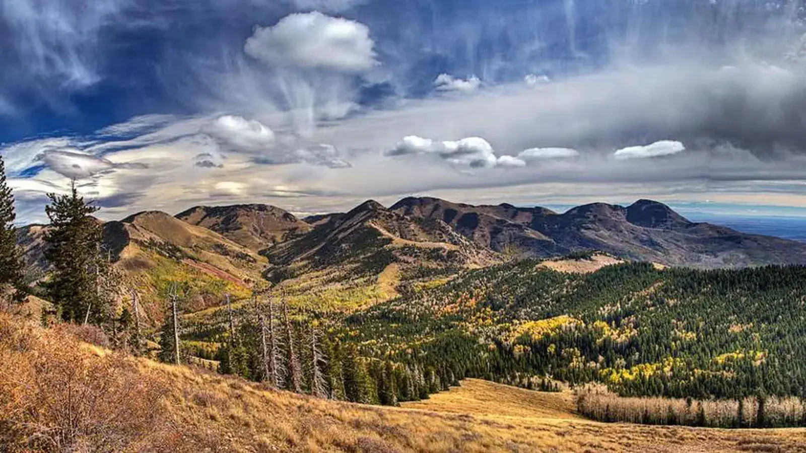 Fall colors in the Abajo Mountains near Nizhoni CG