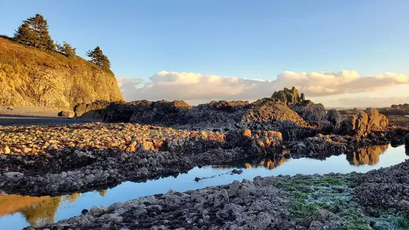 A pool of water and gray rocks against a sunny cliff.