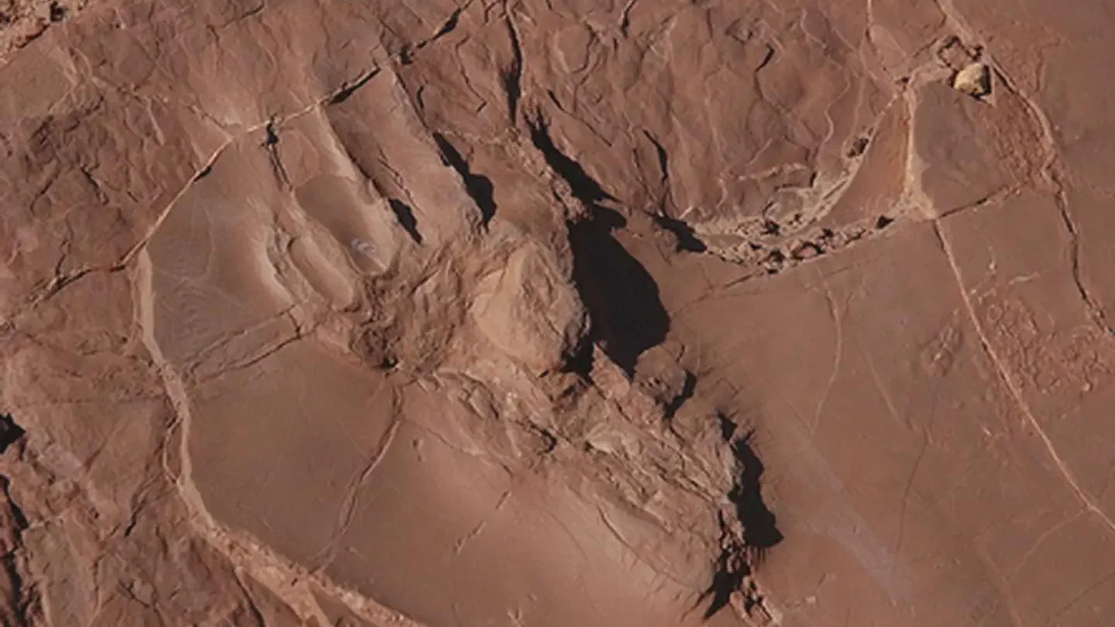 Fossil Footprint at Prehistoric Trackways National Monument