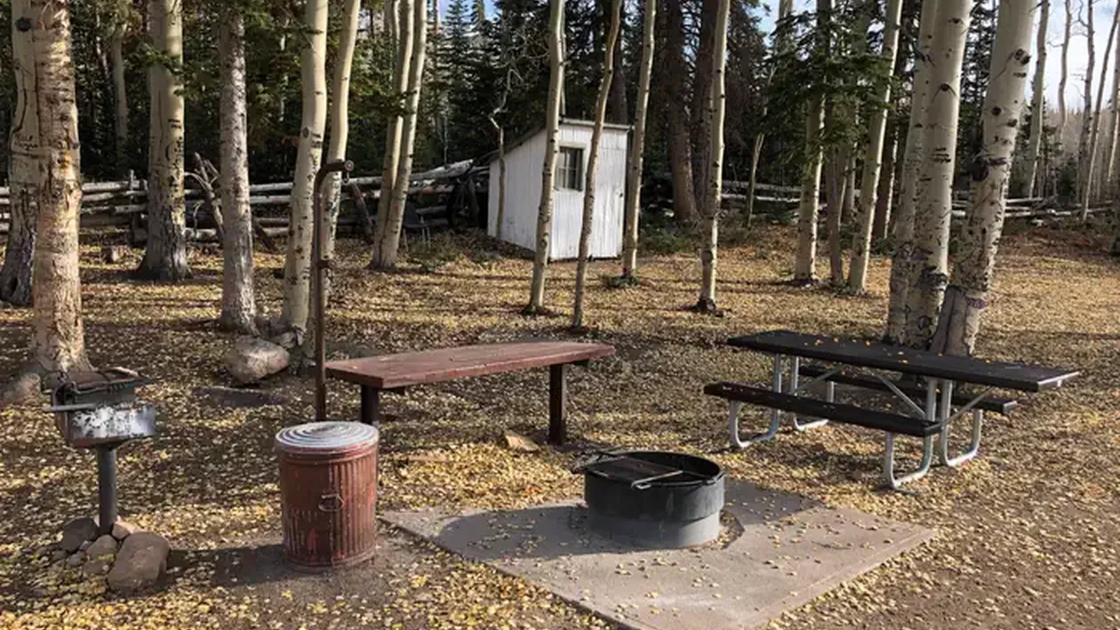 Picnic tables, fire pit and grill