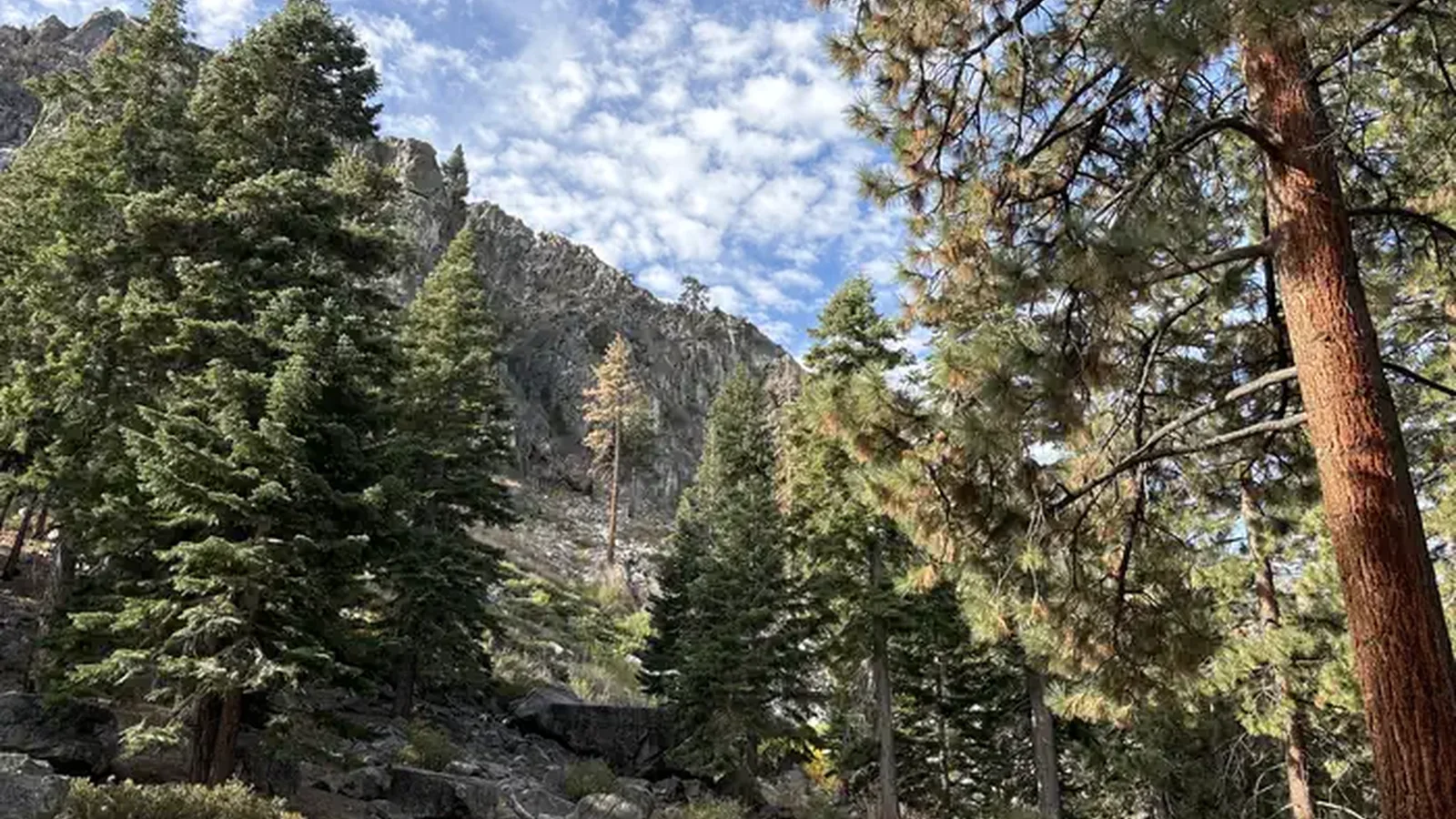 A photo of facility Crystal Springs with No Amenities Shown