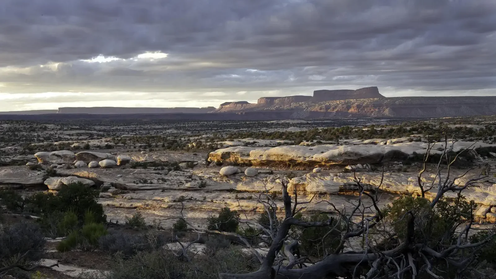 Cedar Mesa