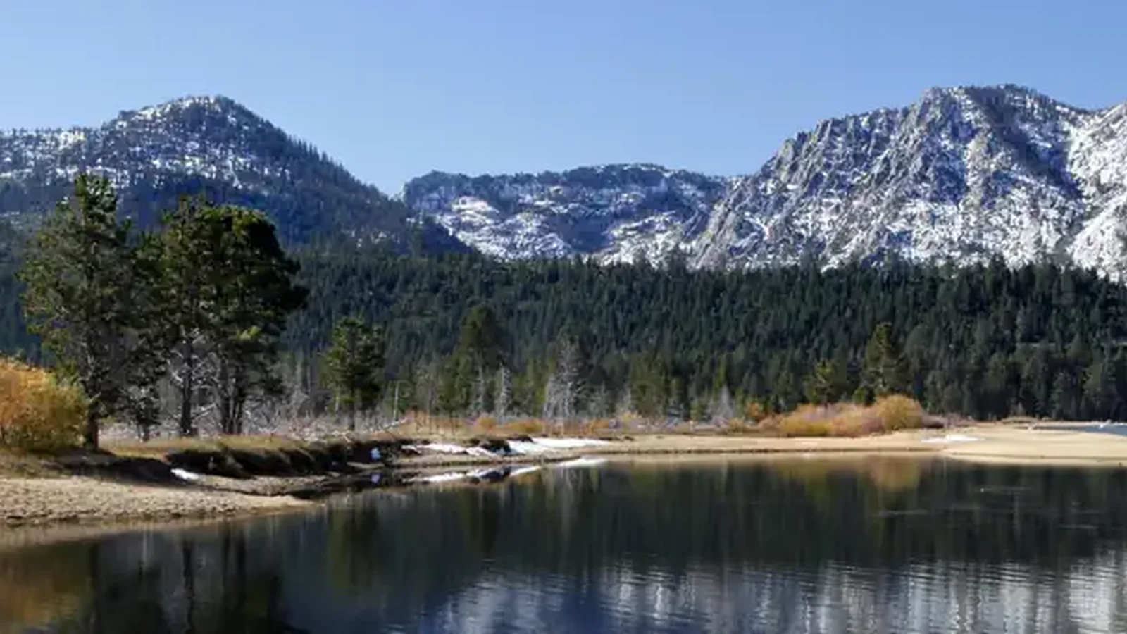 Humboldt Toiyabe National Forest