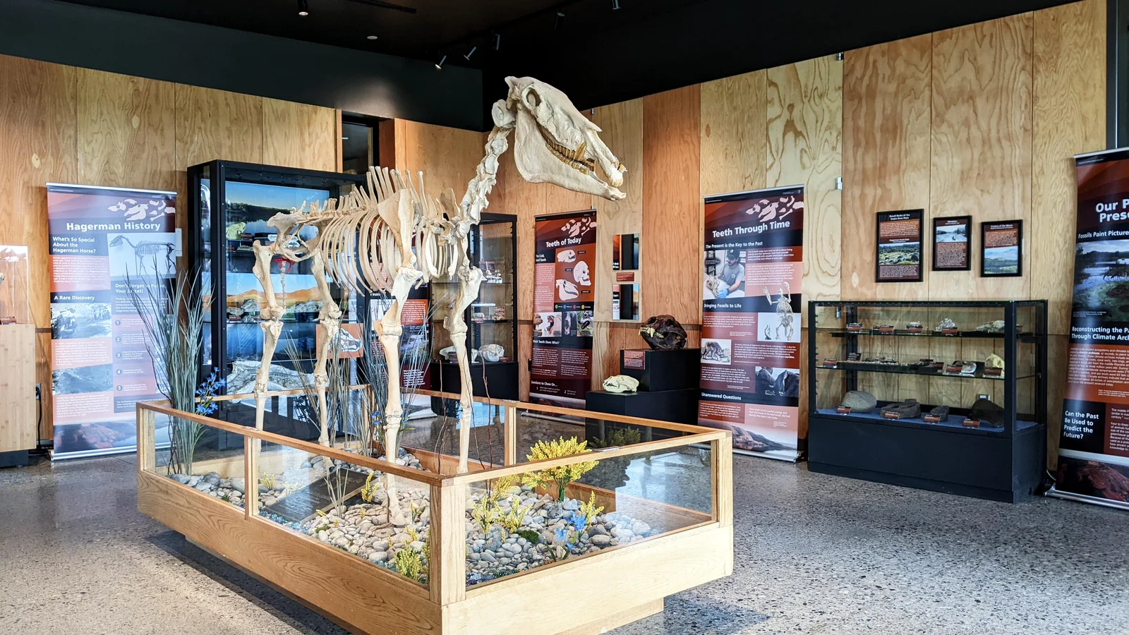 Fossil Exhibits at the Thousand Springs Visitor Center