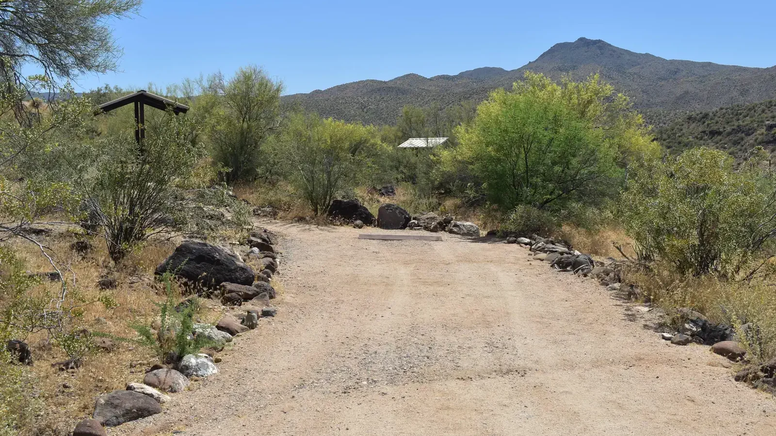 Site Number 5